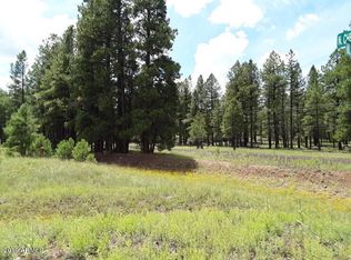 142 W Aztec Cir, Pinetop, AZ 85935