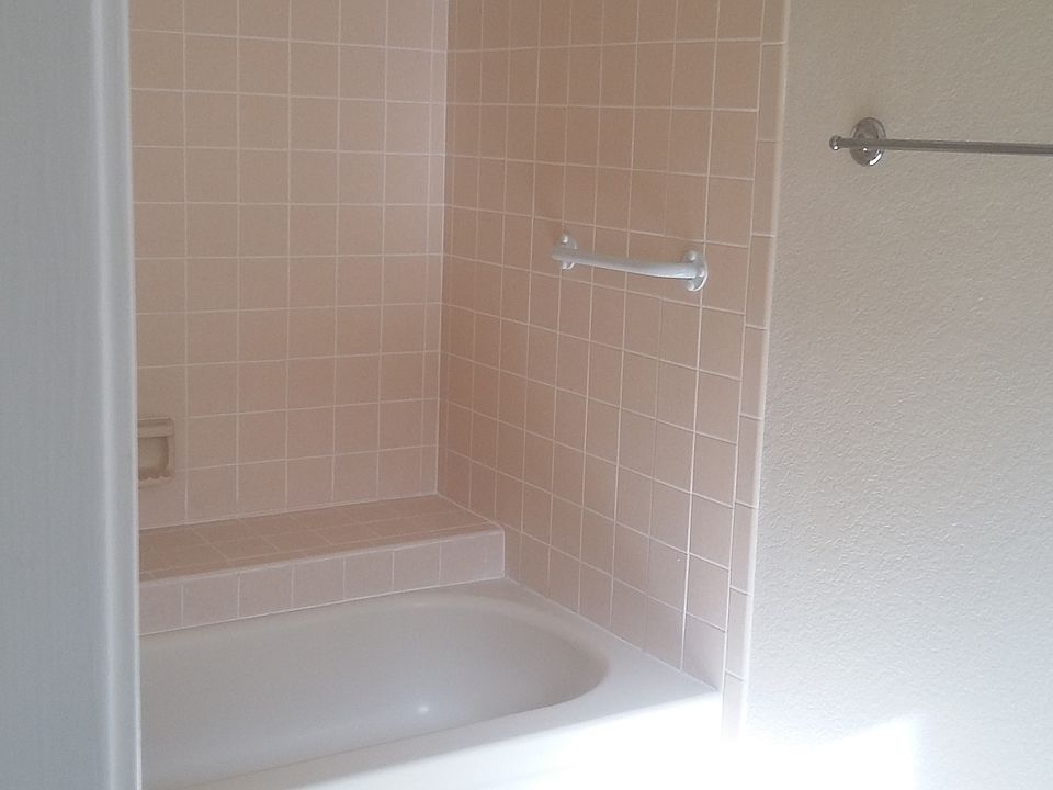 Master Bathroom Tub and Shower