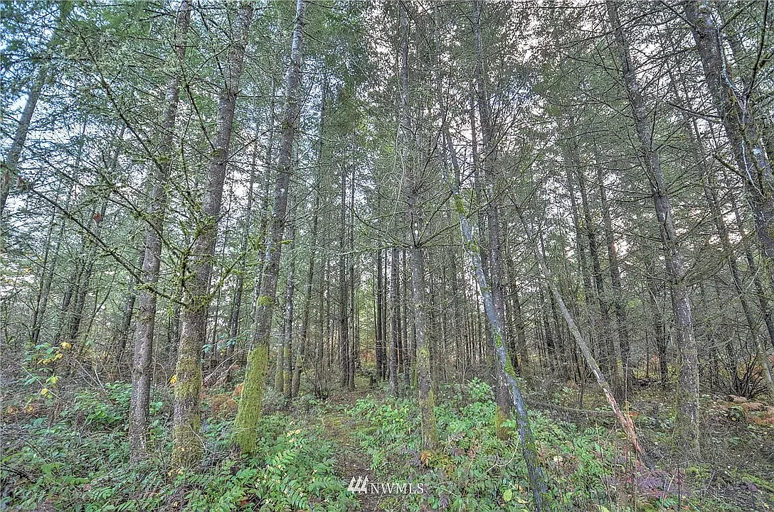 3 bed, 1080 sqft, $2,800 — Photo 4