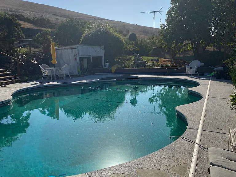 The pool