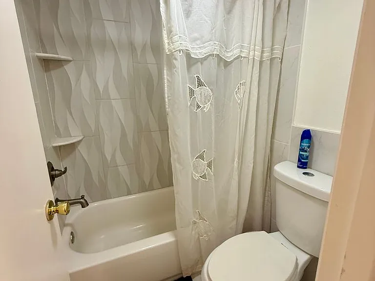 1005 Gulf Blvd #8 — Photo 23