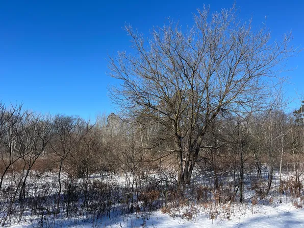 Fox Run Ln, Deerwood, MN 56444