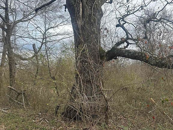 2nd image of 0-00G Walnut Valley Rd