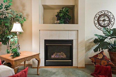 Gas-Log Fireplace