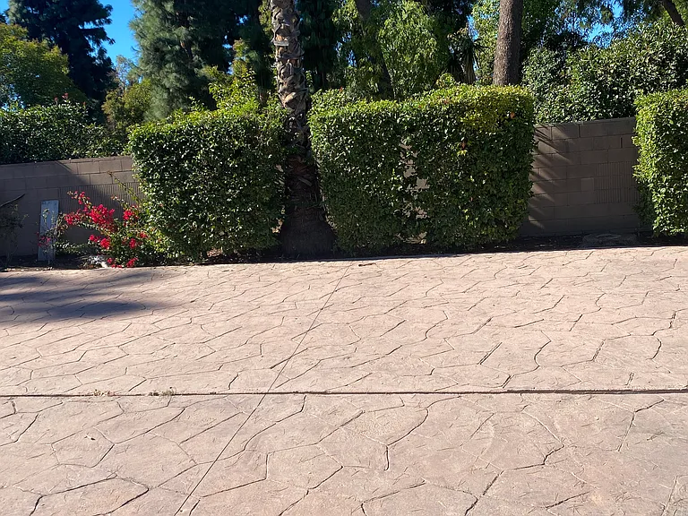 22829 Burbank Blvd #1 — Photo 3