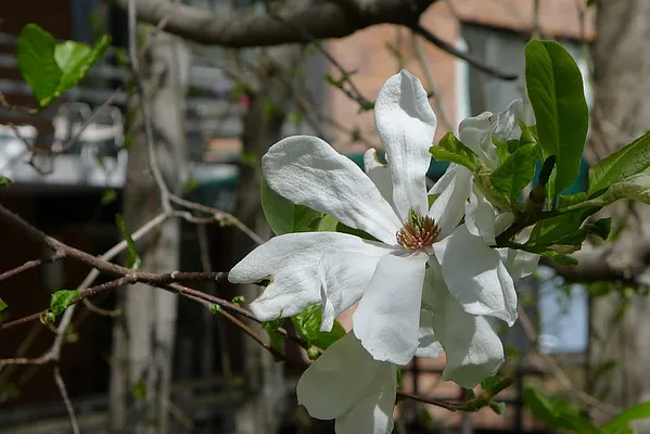 Rented by Corcoran | media 24