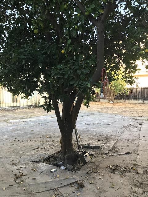 2nd image of 1524 N Alexandria Ave