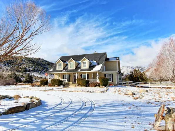 3610 Quail Run Way, Wellington, NV 89444