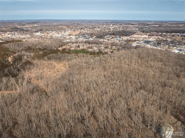 3 Mill St, Potosi, MO 63664