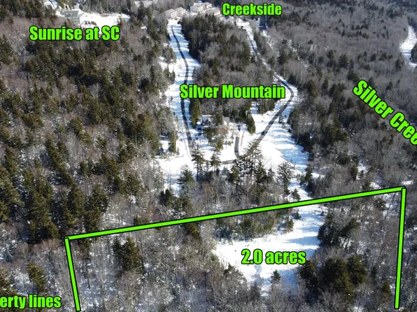 Silver Creek Pkwy, Snowshoe, WV 26209