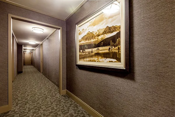 Rented by Mirador Real Estate | media 12