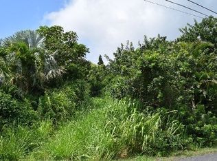 Kane Pl LOT 276, Naalehu, HI 96772