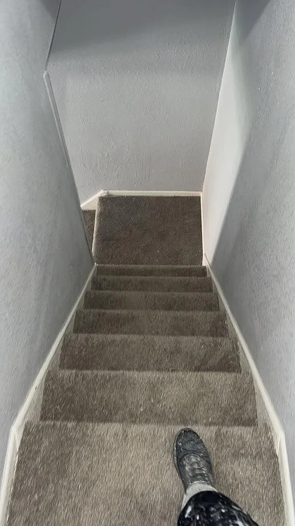 3 bed, 1132 sqft, $1,150 — Photo 3