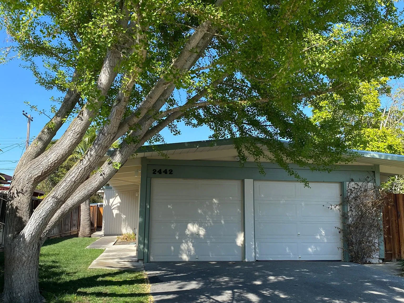 3 bed, 1116 sqft, $5,200 — Photo 1
