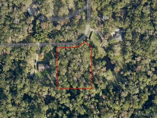 0 Ray Browning Rd, Brooksville, FL 34601