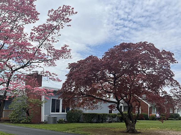 2nd image of 1138 Cherry St