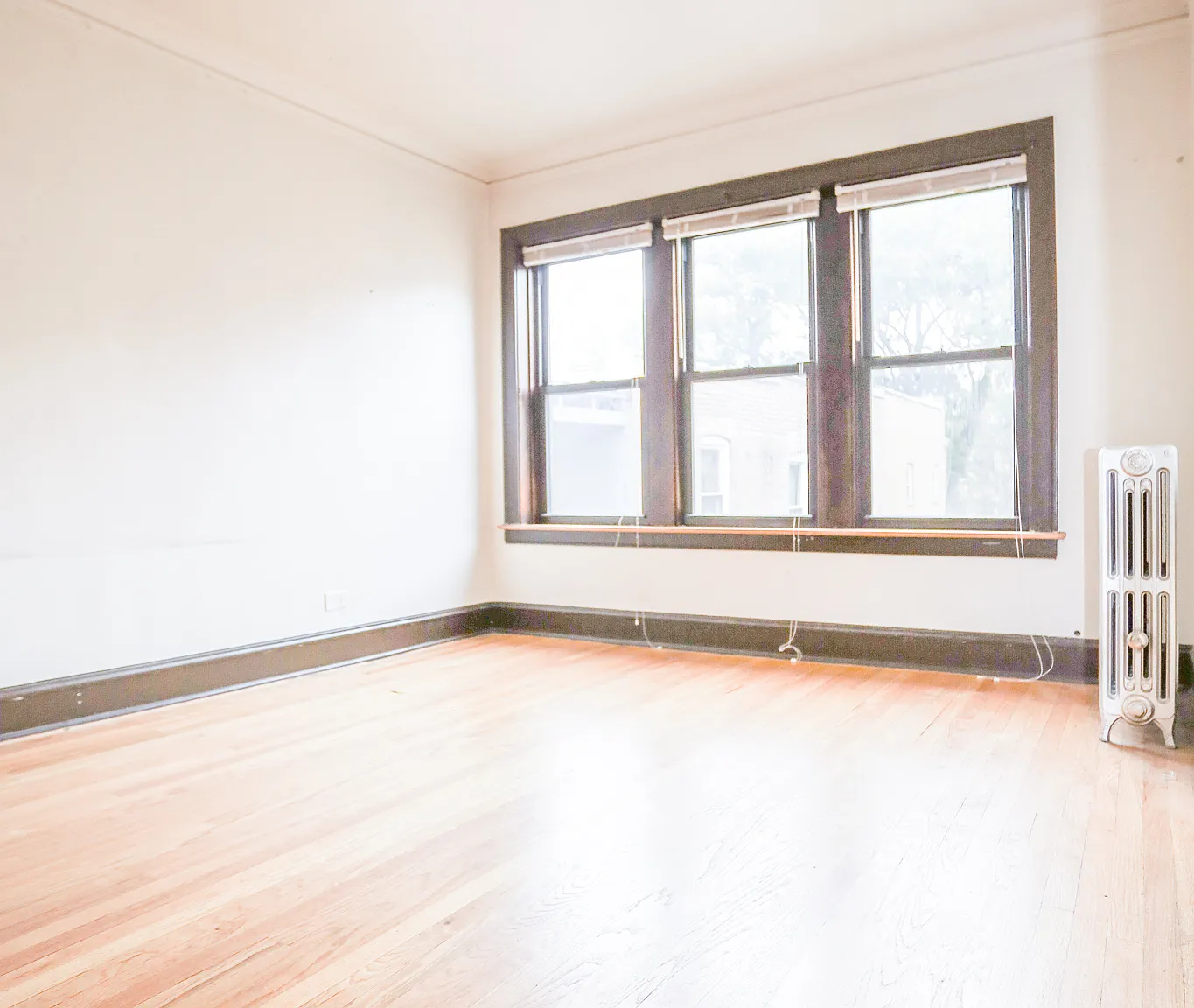 1 bed, 975 sqft, $1,800 — Photo 1
