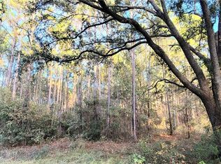 0 Polk, Ellabell, GA 31308