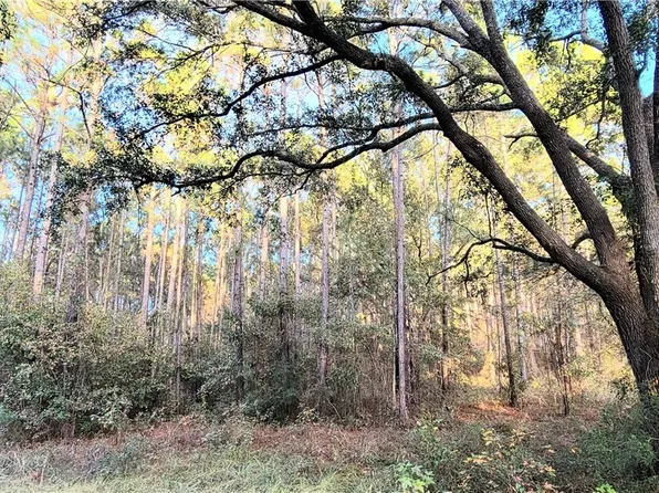 0 Polk Road, Ellabell, GA 31308