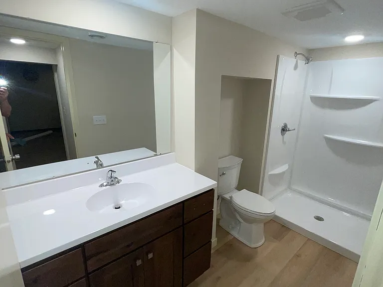 Lower level bathroom