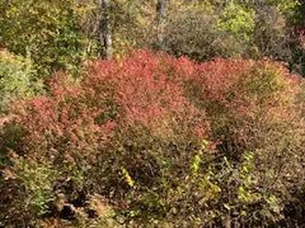 LOT 450 Lukes Still Rd, Franklin, NC 28734