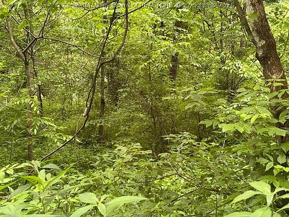 2nd image of 0 Brush Run Rd