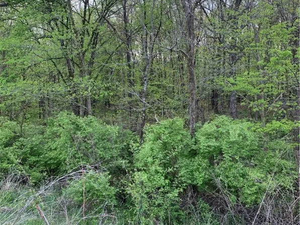 1079 County Road 1575 E, Greenup, IL 62428