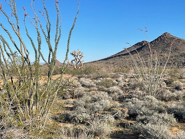 1st image of LOT 16 S Desert View Rd