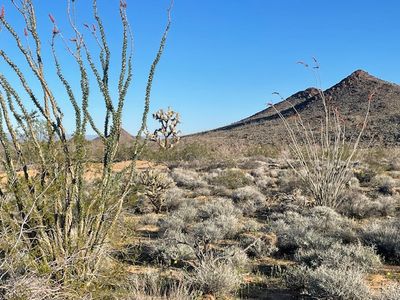LOT 16 S Desert View Rd, Yucca, AZ, 86438