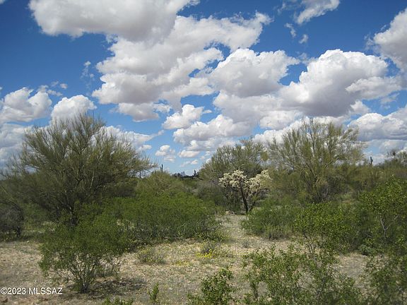 4th image of 41306 S Staghorn Ln #15AC