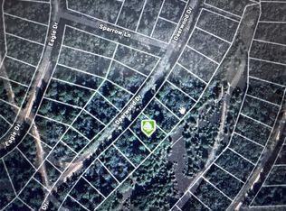 Deerwood Dr, Hempstead, TX 77445