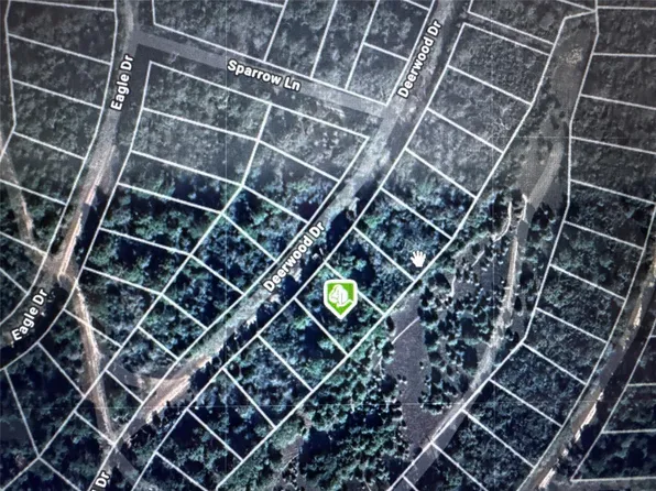 Deerwood Dr, Hempstead, TX 77445