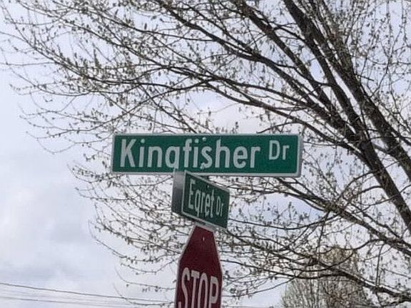 5th image of 3450 Kingfisher Dr