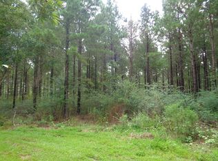 33 One Ac S Cty Rd #33, Cottonwood, AL 36320