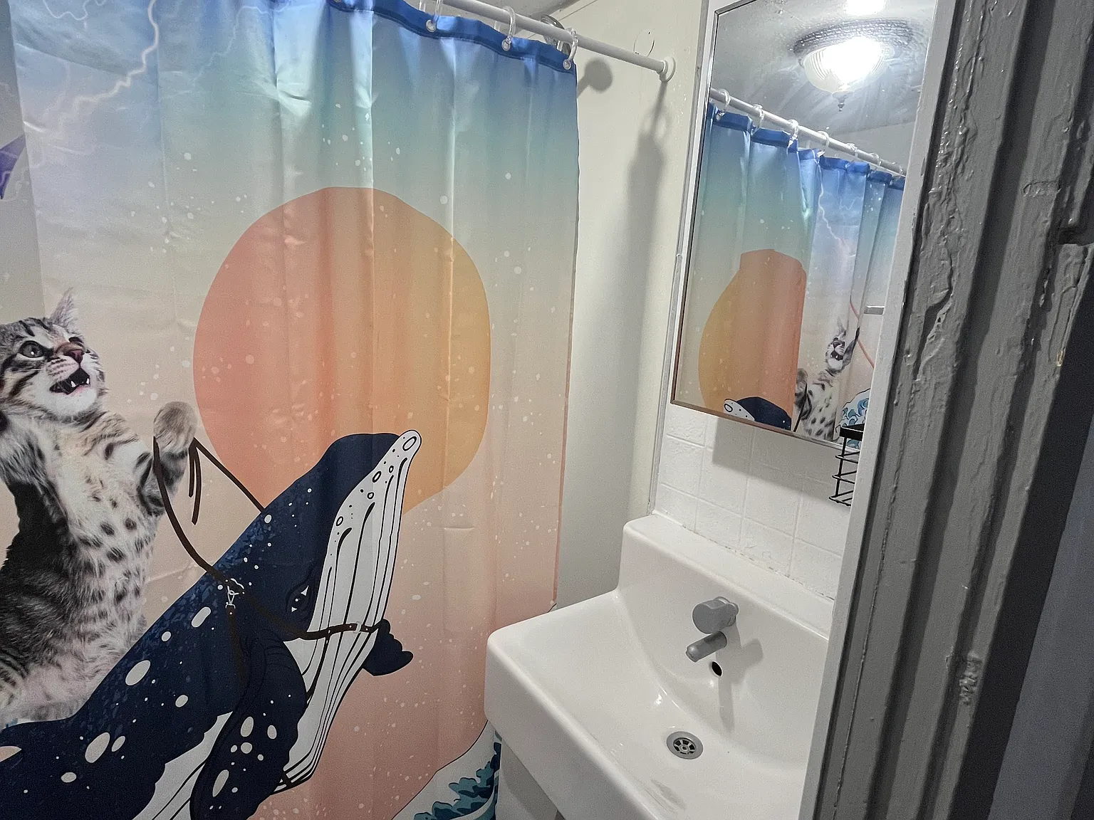 2 bed, 1000 sqft, $5,300 — Photo 3