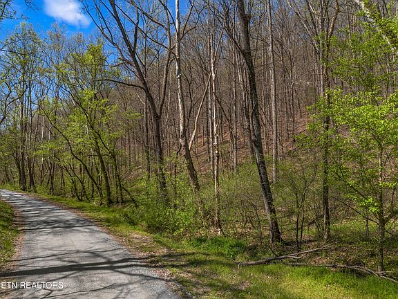 5th image of Greever Hollow Rd