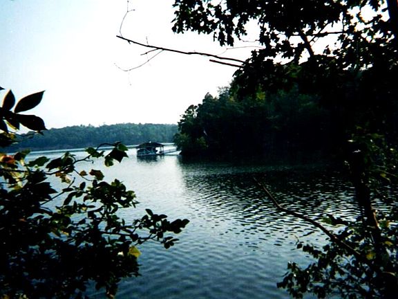 2nd image of 2221a Horton Cove Road #Lot #4