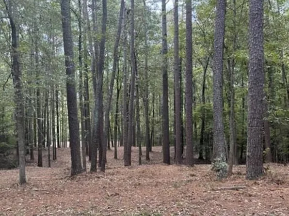 448 River Point Rd, Moncure, NC 27559