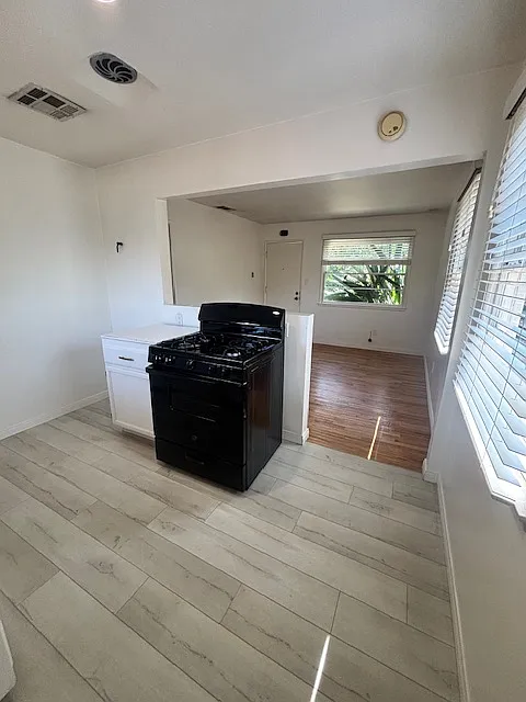 1 bed, 500 sqft, $1,750 — Photo 3