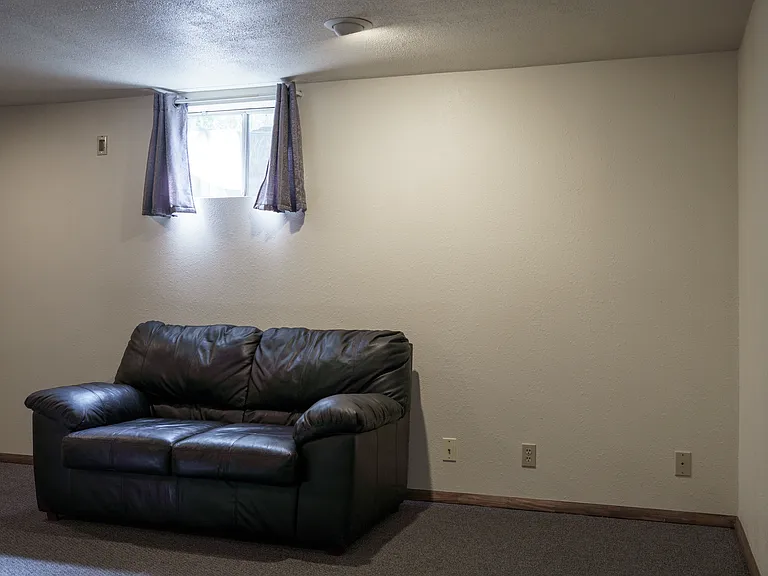 basement flex space
