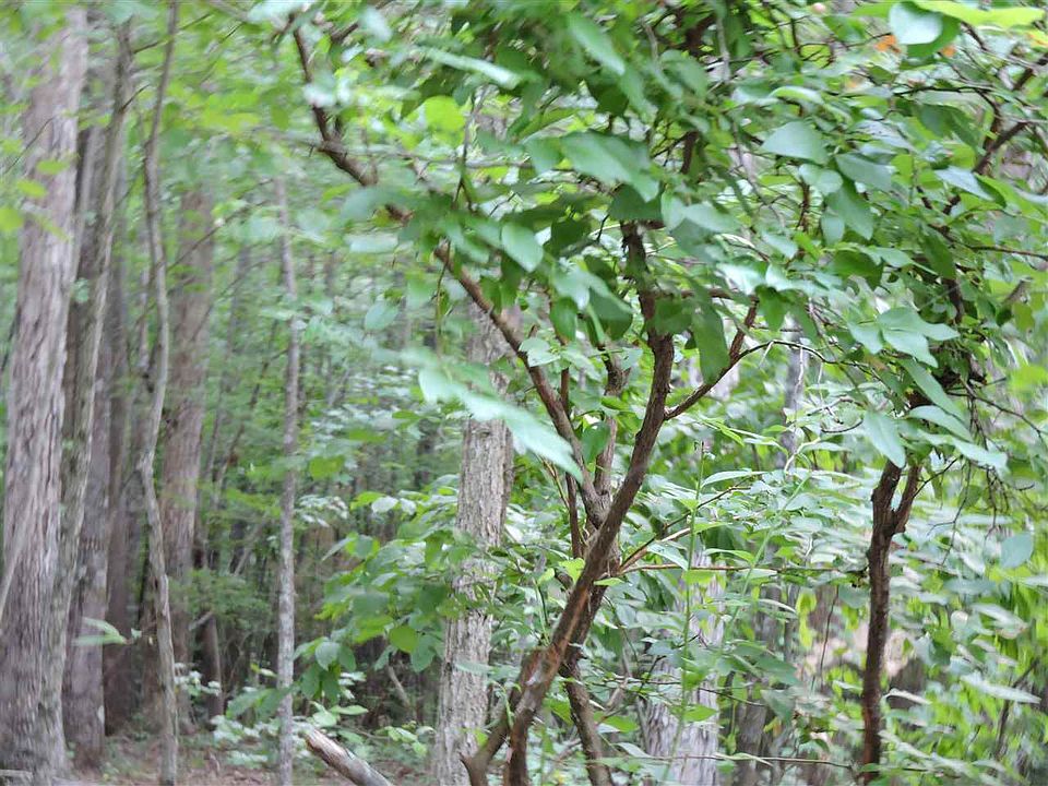 2nd image of 13 Weaver Ridge Rd #13