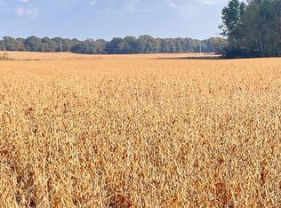 0 Trenton Hwy, Milan, TN 38358