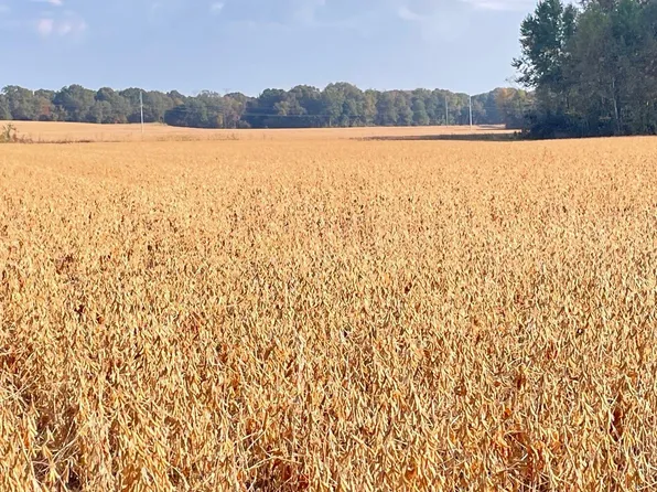 0 Trenton Hwy, Milan, TN 38358