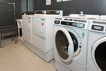 Rented by Cyberapts Management