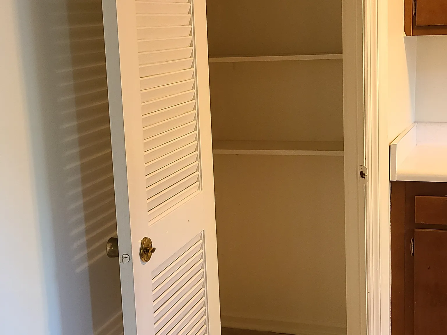 1 bed, 680 sqft, $800 — Photo 3