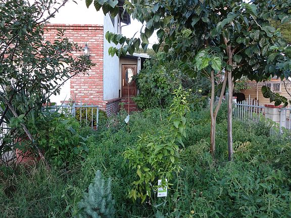3rd image of 10206 Jardine Ave
