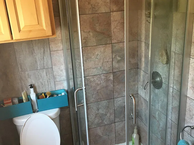 Bathroom shower and toilet