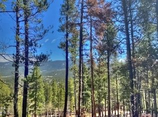 233 Renaud Rd, Bailey, CO 80421