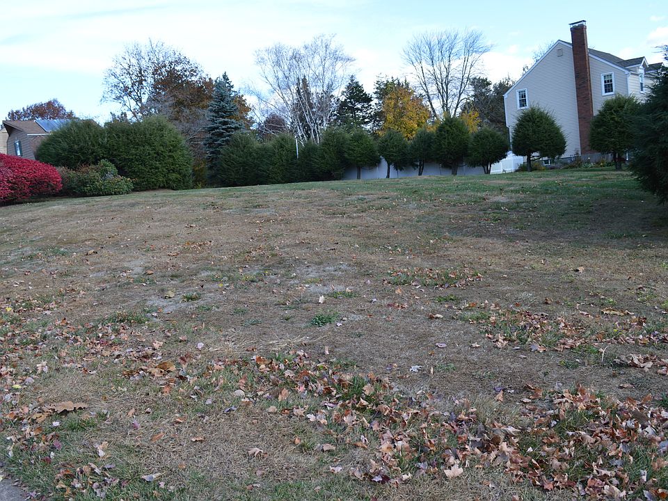 2nd image of Old Common Rd