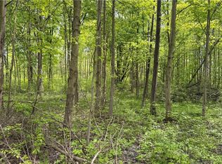 Youngstown Kingsville Rd NE, Vienna, OH 44473
